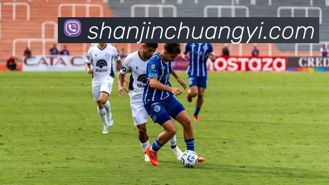 开云app服务体系